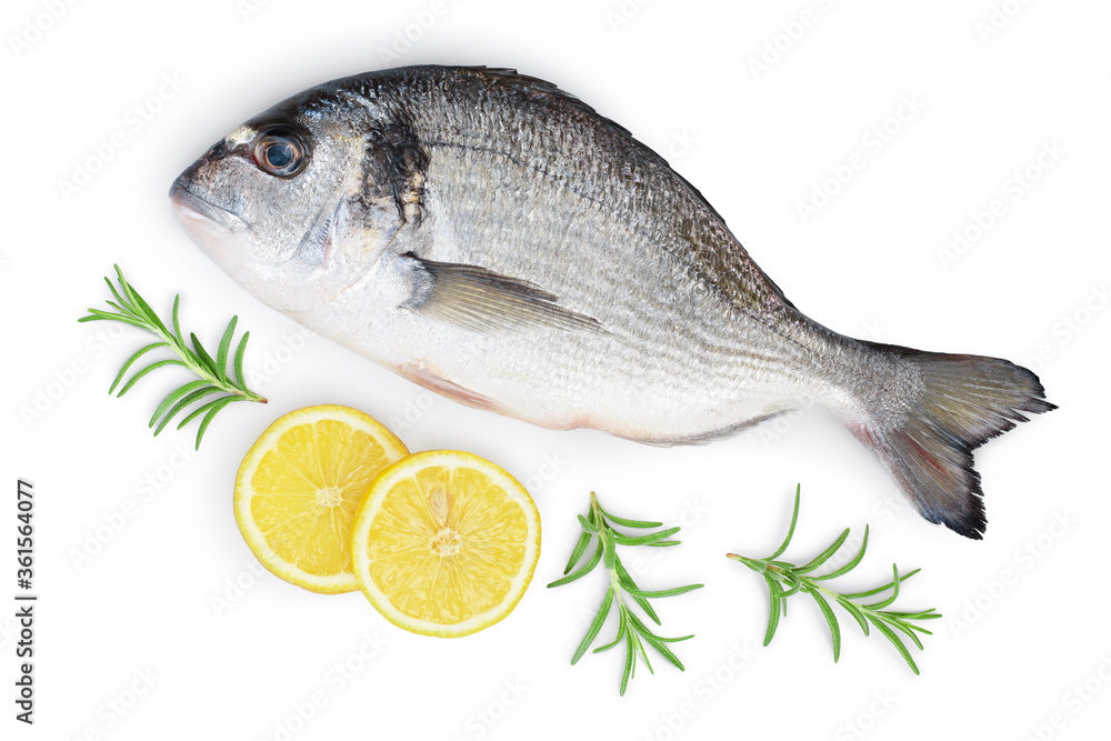 Fish dorado isolated on white background with clipping path and full depth of field. Top view. Flat lay Fish dorado isolated on white background with clipping path and full depth of field. Top view. Flat lay
