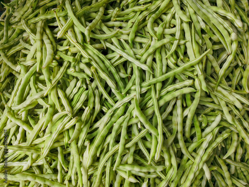 Close up green bean . Green bean for background Close up green bean . Green bean for background