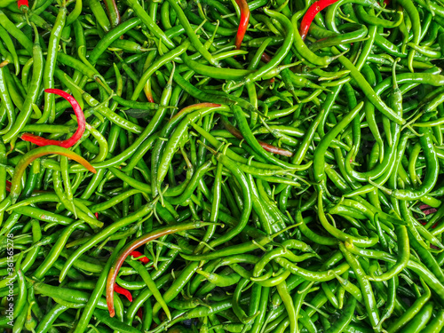 Close up green spicy chilli pepper. green spicy organic chili for background.