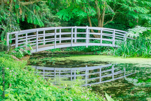 Φωτογραφία wooden bridge in the garden