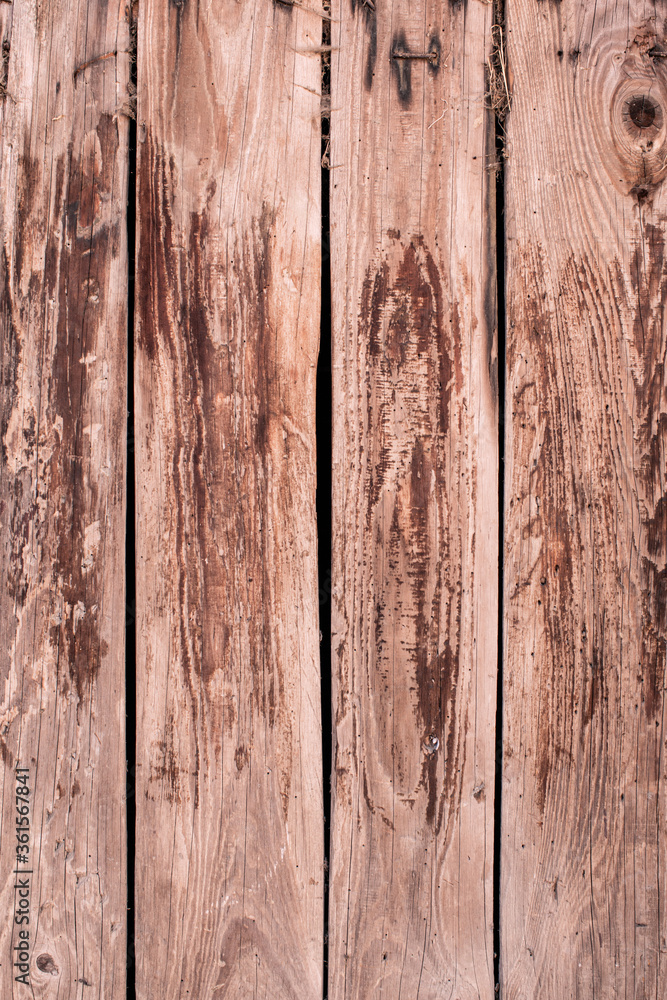 Closeup vertical wooden planks, aged and weathered Closeup vertical wooden planks, aged and weathered