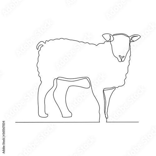 Continuous line drawing of goat, sheep, lamb. Muslim holiday sacrifice an animal to god eid al adha. Vector illustration