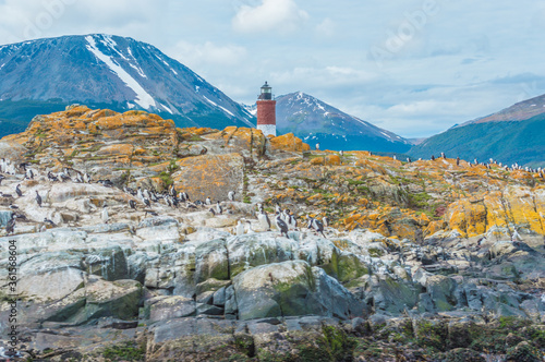 Lighthouse in the end of the world, ushuaia photo