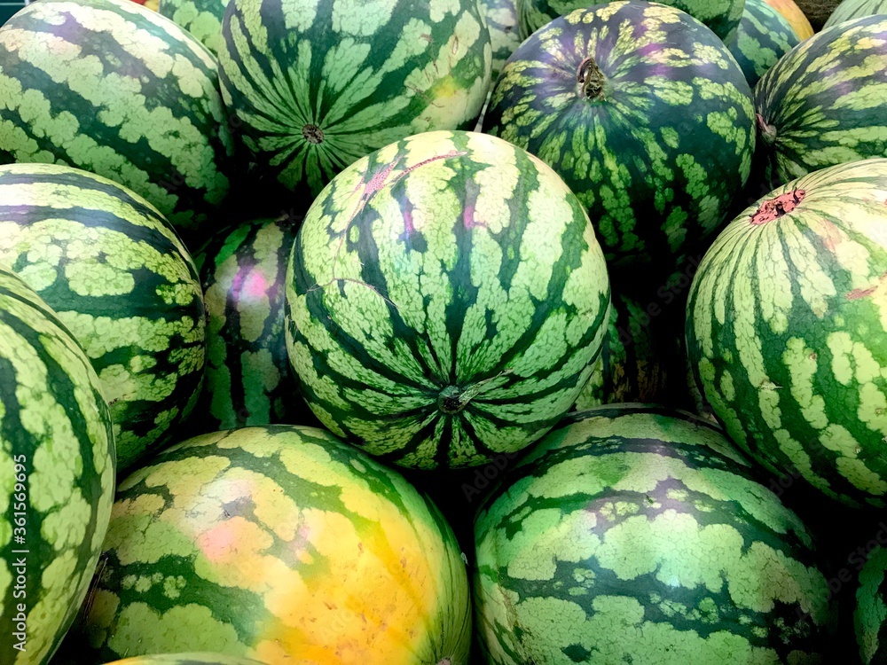 watermelon background and texture. Group of watermelons close-up watermelon background and texture. Group of watermelons close-up