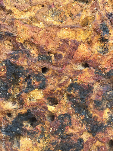 close-up view of the golden-laterite with brown and black.