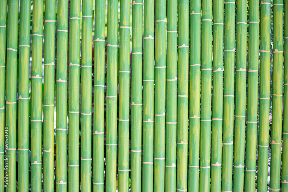 Fototapeta premium Green Bamboo Background and texture