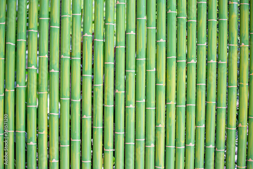 Fototapeta Naklejka Na Ścianę i Meble -  Green Bamboo Background and texture