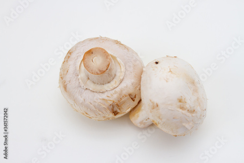 Fresh champignon mushroom on white background. Top view.