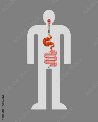 Metal stomach and intestines. Robotic internal organ. Iron digestive tract. Cyborg organs. Robot gut