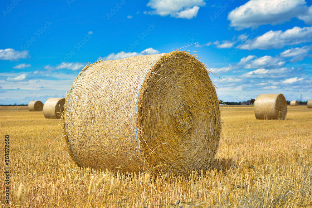 Large round hay bale on agricultural field in front of blue sky Large round hay bale on agricultural field in front of blue sky