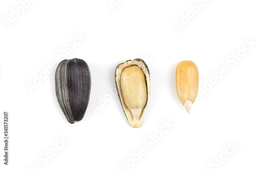 The process of peeling sunflower seeds on a white background. Peel. Core. The structure of the seeds from the inside. Isolated.