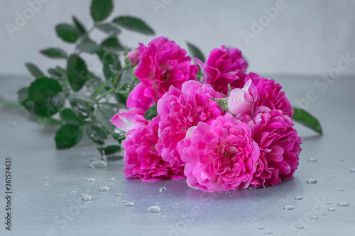 Fototapeta Naklejka Na Ścianę i Meble -  pink rose branch on the table