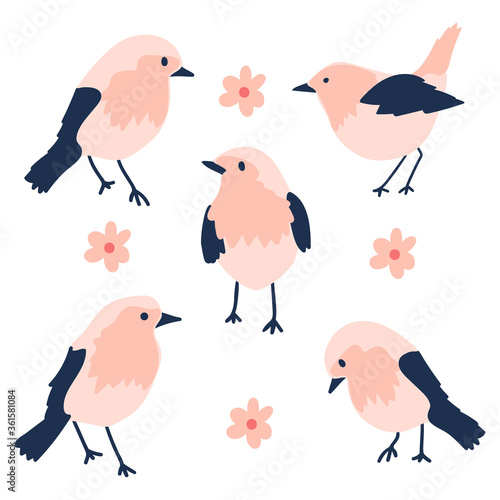seamless pattern with hand drawn robin bird.