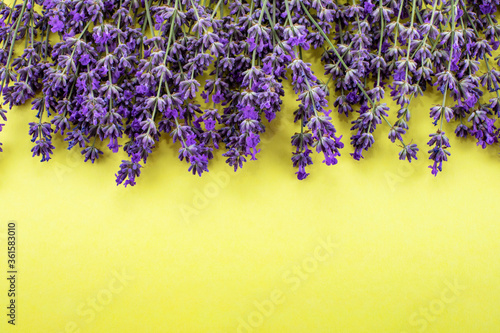 Lavender flowers on a yellow background. Lavender background