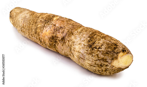 Brazilian manioc, a vegetable used in Brazilian cuisine, called macaxeira, 
