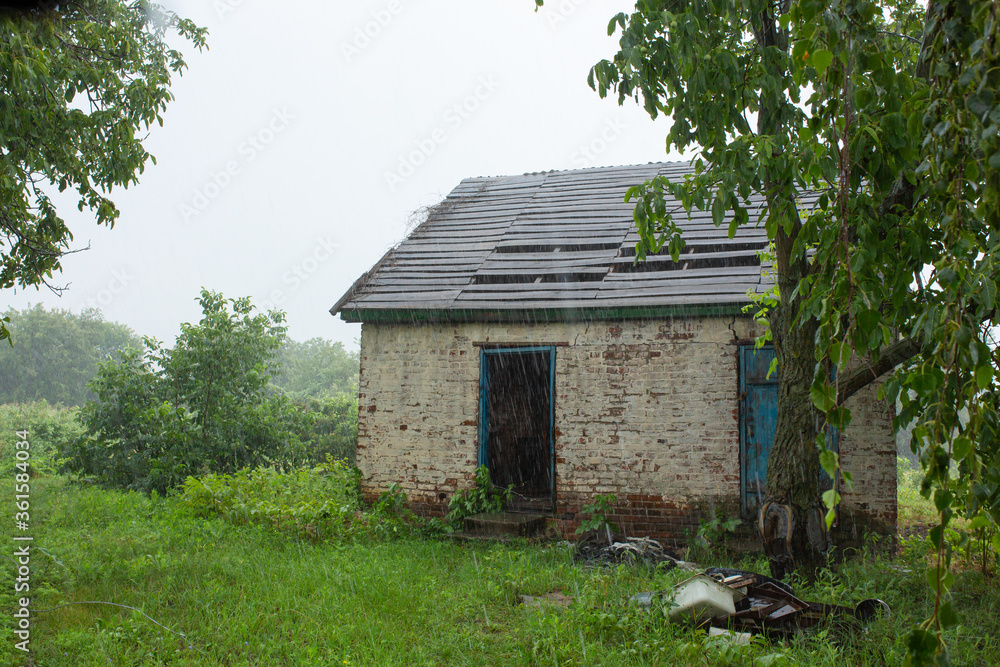 Heavy rain near an old abandoned house in a distant village. Green nature Heavy rain near an old abandoned house in a distant village. Green nature
