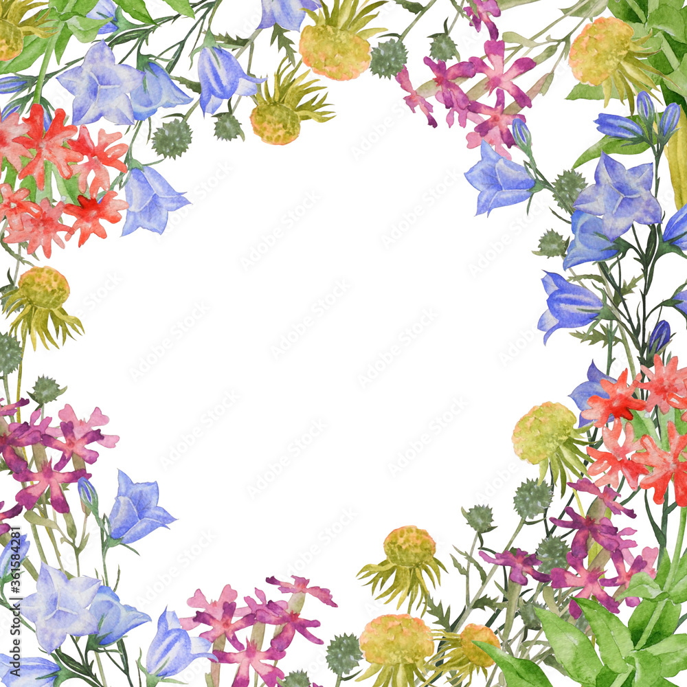 Square frame with bluebells and wild flowers. Floral watercolor illustration.