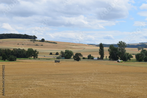 Erntezeit in der Eifel photo