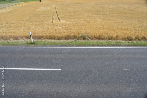 Erntezeit in der Eifel photo