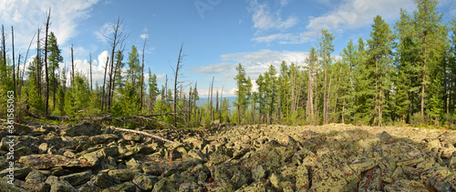 Fotografia The taiga and alpine tundra - stone deposits, fragments of rock, boulders