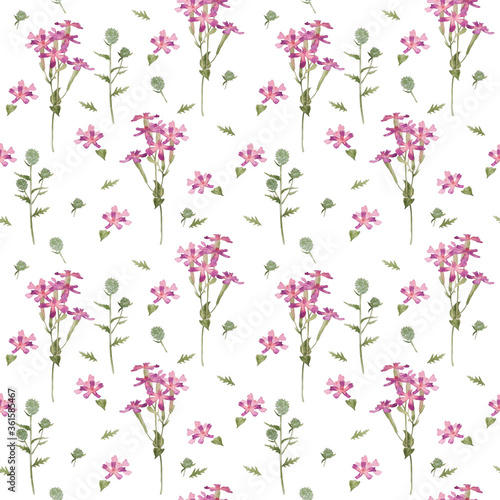Seamless pattern with pink flowers and wild herbs. Watercolor illustration.