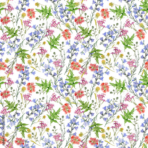 Seamless pattern with wild flowers and herbs. Summer watercolor illustration.