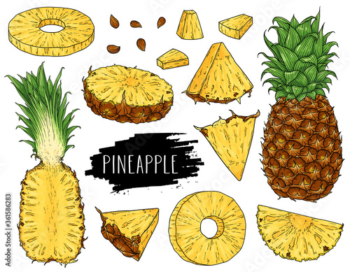 Hand drawn natural tropical set of whole pineapple, slices pieces, half and seed isolated on white background with label.