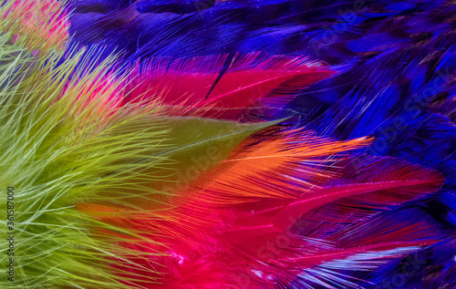 Bright feathers green, red, yellow, purple marabou