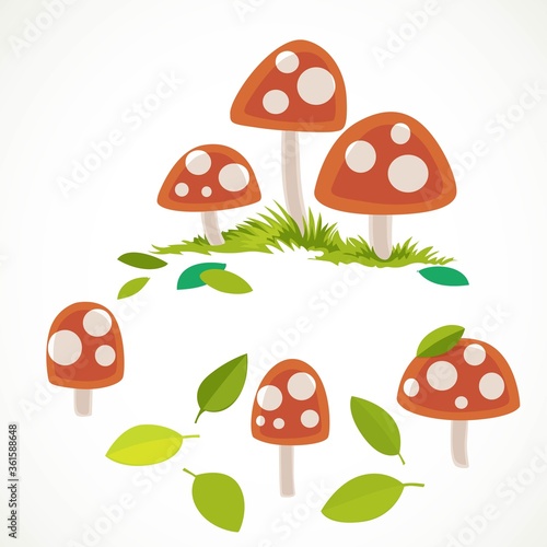 Amanita with green summer leaves vector drawing isolated on white background