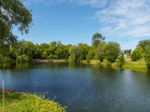 Beautiful summer landscape by a pond on a Sunny summer day