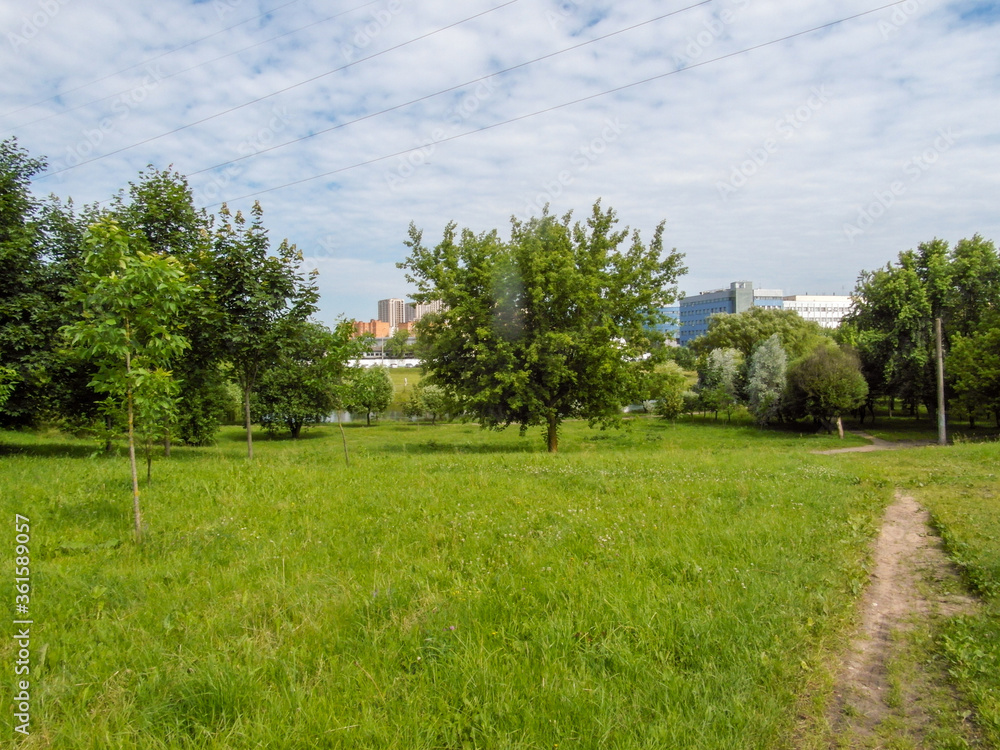 Beautiful summer landscape by a pond on a Sunny summer day