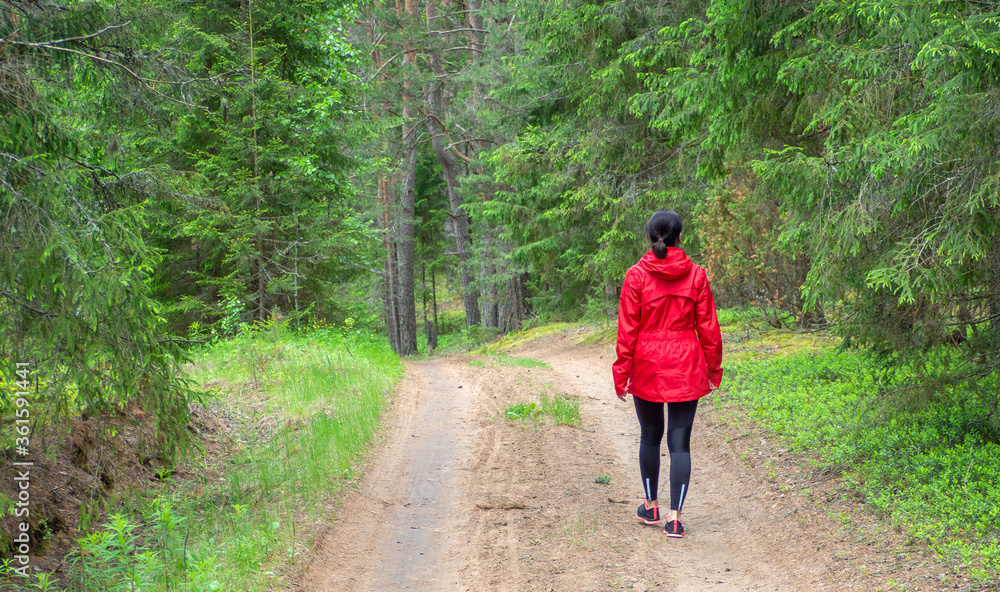 Back view of woman walking on dirt road in pine and spruce forest, hiking trip. Solo outdoor activities. Enjoy time alone in nature. Back view of woman walking on dirt road in pine and spruce forest, hiking trip. Solo outdoor activities. Enjoy time alone in nature.