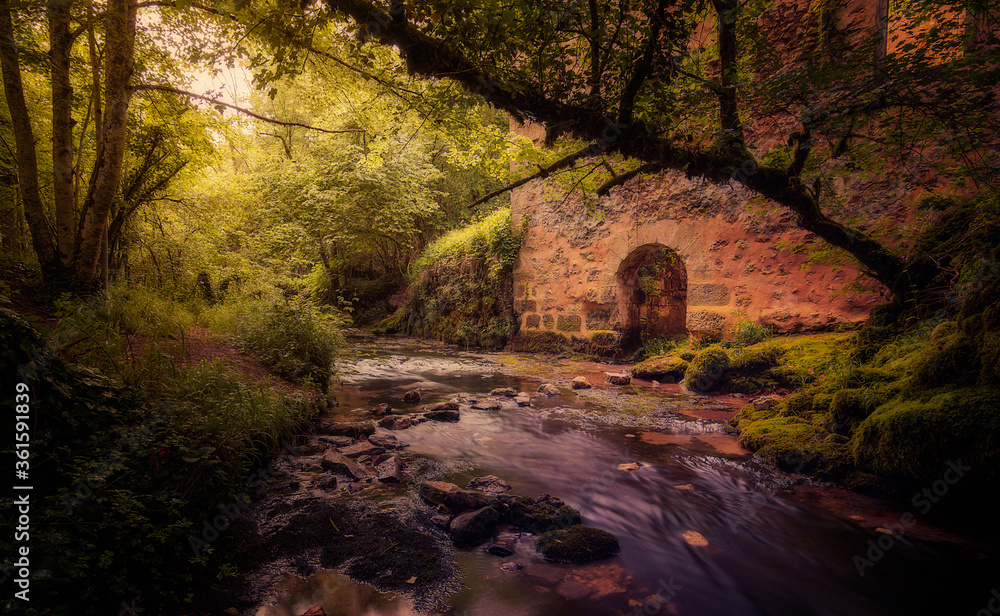 Old abandoned mill in the middle of the forest with the river next to it