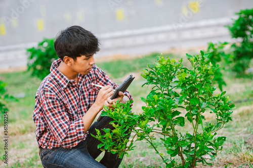 Young farmer holding tablet and checking plants in field