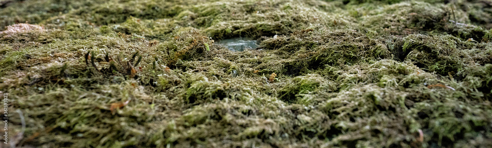 Textures. Textures.