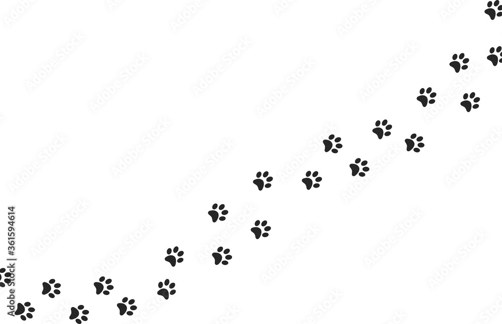 Obraz premium Paw print foot trail. Dog, cat paw print. Vector