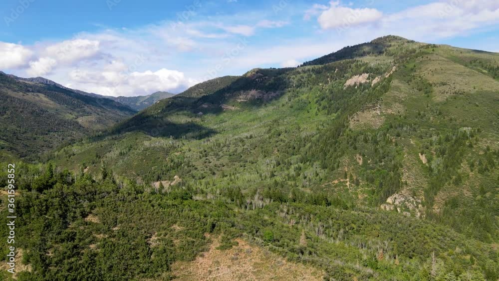 Aerial view of a vast pine and aspen forest in the Rocky Mountain wilderness Aerial view of a vast pine and aspen forest in the Rocky Mountain wilderness