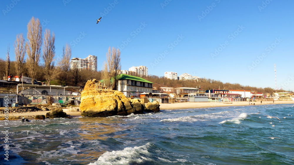 Fototapeta premium seagull soars over the deserted winter beach of Odessa in cold sunny weather