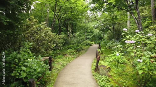 京都 大原 三千院 新緑と初夏の景色