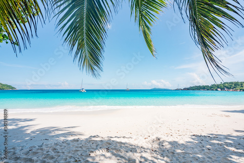 Tropical beach with palm trees © eyetronic