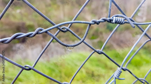 wire fence detail in the field