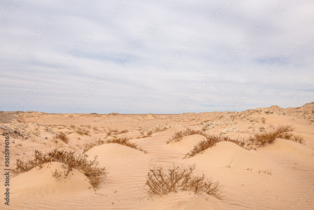 pictured desert with yellow sand and blue sky