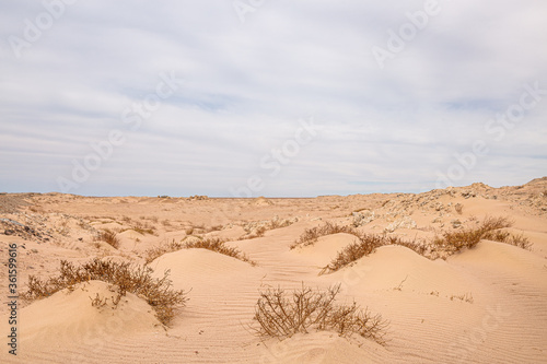 pictured desert with yellow sand and blue sky