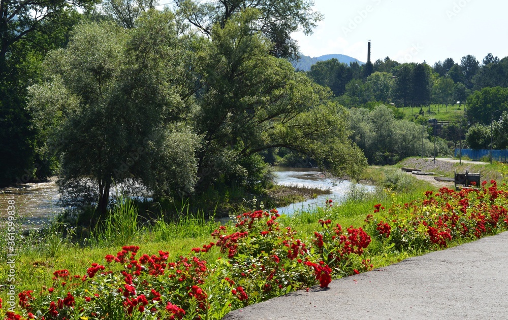 flowers on the promenade by the river