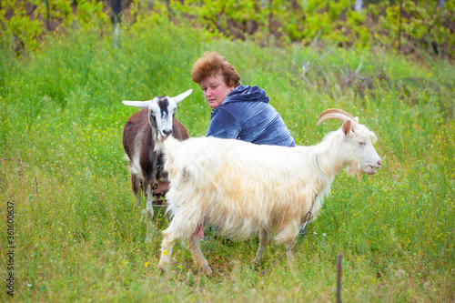 woman with goat in the field