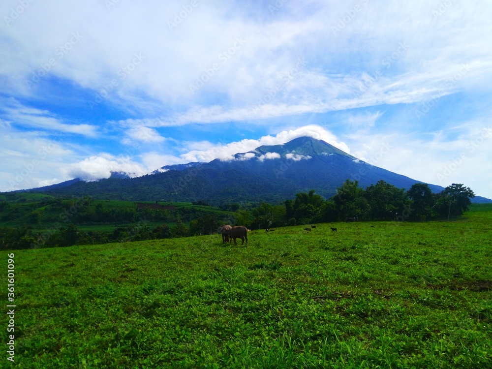 Obraz premium Mt. Kanlaon Philippine Volcano