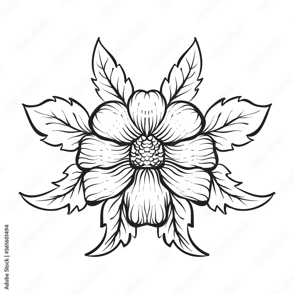 hand drawn flower illustration, can be used for tattoo, t shirt design, decoration hand drawn flower illustration, can be used for tattoo, t shirt design, decoration