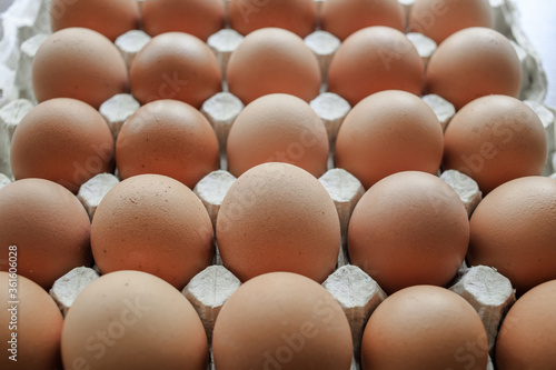 Group of fresh eggs in pater tray. Raw Egg food breakfast for cooking