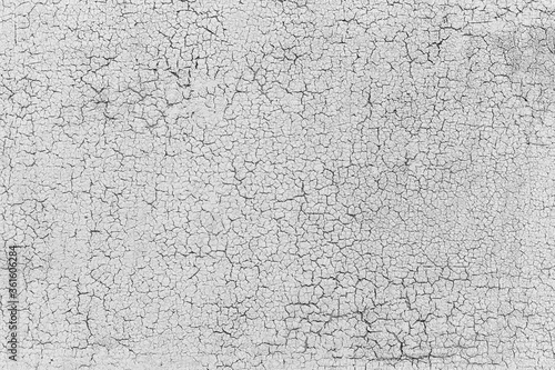 Grey rustic texture background with craquelure.