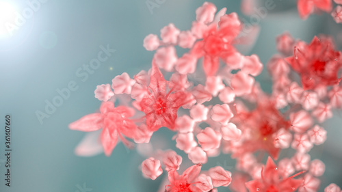 Fototapeta Naklejka Na Ścianę i Meble -  beautiful pink flowers on blurred natural background, summer concept 